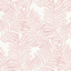 Picture of Finnley Pink Inked Fern Wallpaper