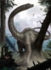 Picture of Rebbachisaurus Wall Mural