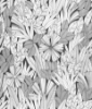 Picture of Bannon Black Leaves Wallpaper