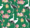 Picture of Barton Green Heron Wallpaper