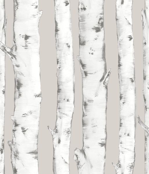 Picture of Downey Birch Tree Peel and Stick Wallpaper
