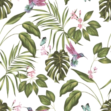 Picture of Clivia White Hummingbird Wallpaper