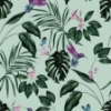 Picture of Clivia Mint Hummingbird Wallpaper