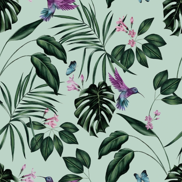 Picture of Clivia Mint Hummingbird Wallpaper