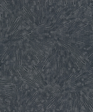 Picture of Agassiz Dark Grey Burst Wallpaper