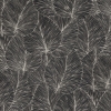 Picture of Eilian Black Palm Wallpaper