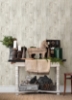 Picture of Chebacco Grey Wood Planks Wallpaper