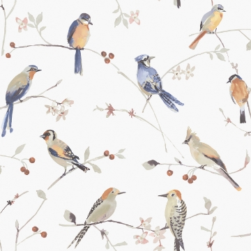 Picture of Birdsong Orange Trail Wallpaper