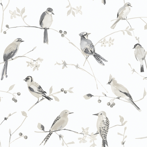 Picture of Birdsong Grey Trail Wallpaper
