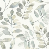 Picture of Pinnate Grey Leaves Wallpaper