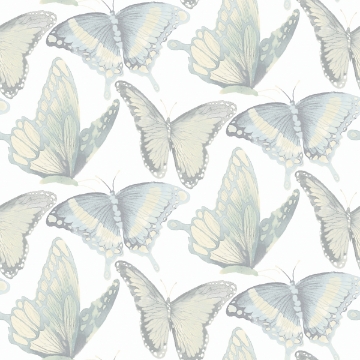 Picture of Janetta Mint Butterfly Wallpaper