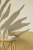 Picture of Neutral Tropical Color Block Wall Mural