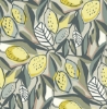 Picture of Meyer Chartreuse Citrus Wallpaper