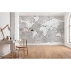 Picture of World Relief Wall Mural