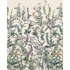 Picture of Flowering Herbs Wall Mural