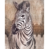 Picture of Zebra Wall Mural