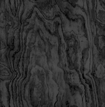 Picture of Black Sloane Wood Peel and Stick Wallpaper