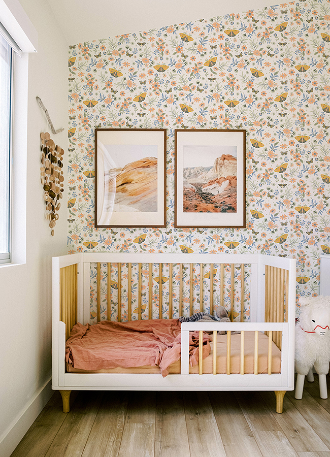 406058105 Zev Coral Butterfly Wallpaper by Chesapeake