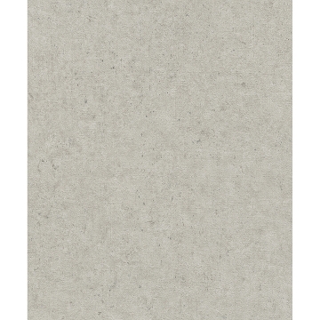 Picture of Cain Light Grey Rice Texture Wallpaper