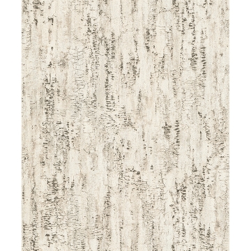 Picture of Colm Beige Birch Wallpaper