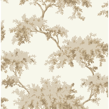 Picture of Taupe Alder Peel and Stick Wallpaper