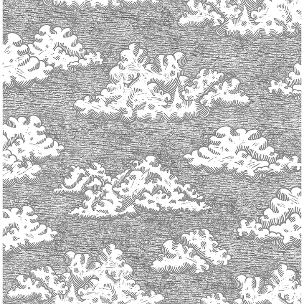 Picture of Block Print Grey Day Dream Novelty Peel and Stick Wallpaper
