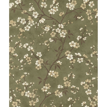 Picture of Tsubomi Olive Cherry Blossom Wallpaper