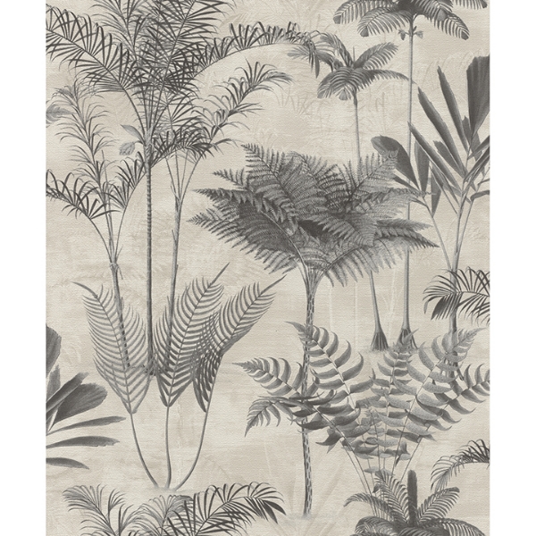 Picture of Kinabalu  Charcoal Rainforest Wallpaper