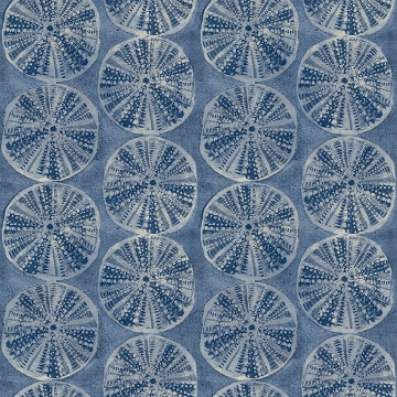 Picture of Sea Biscuit Blue Sand Dollar Wallpaper