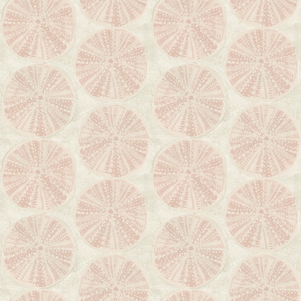 Picture of Sea Biscuit Peach Sand Dollar Wallpaper