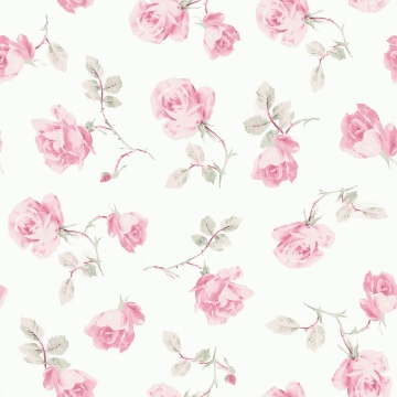 Picture of Ribbon Rosa Chateau Rose Loose Roses Wallpaper