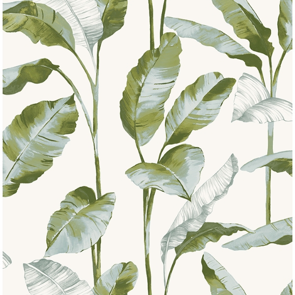 Picture of Green Banana Leaf Peel and Stick Wallpaper