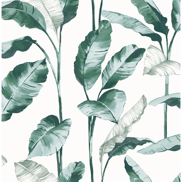 Picture of Teal Banana Leaf Peel and Stick Wallpaper