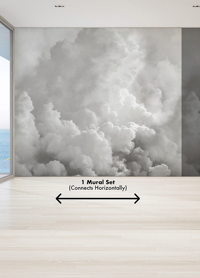 ASTM5054 In the Clouds Dove Grey Wall Mural by Katie Hunt x A