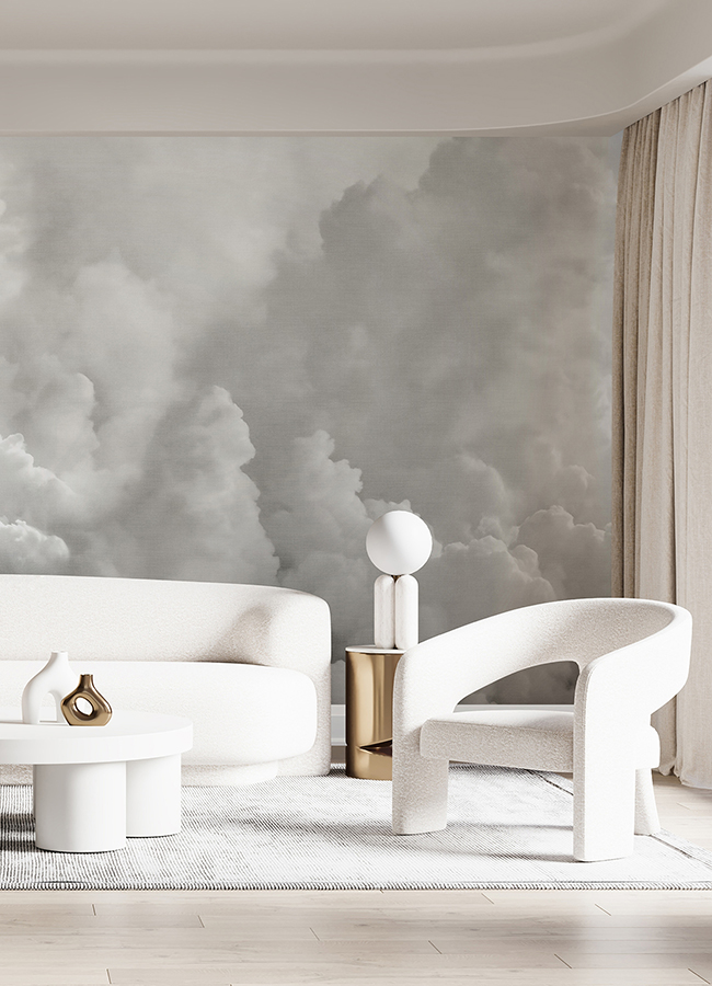 ASTM5054 In the Clouds Dove Grey Wall Mural by Katie Hunt x A