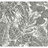 Picture of Brentwood Black Palm Leaves Wallpaper by Scott Living