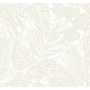 Picture of Brentwood Bone Palm Leaves Wallpaper by Scott Living