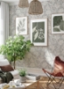 Picture of Bernadina Grey Rosebush Wallpaper
