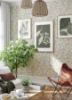 Picture of Bernadina Light Yellow Rosebush Wallpaper