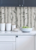 Picture of Birch Forest Grey Peel and Stick Wallpaper