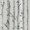 Picture of Birch Forest Grey Peel and Stick Wallpaper