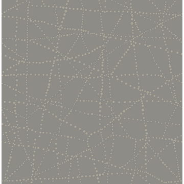Picture of Alcott Charcoal Dotted Wallpaper