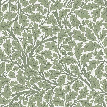 Picture of Oak Tree Green Leaf Wallpaper