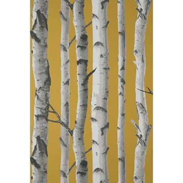 Picture of Chester Mustard Birch Trees Wallpaper