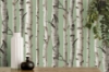 Picture of Chester Sage Birch Trees Wallpaper
