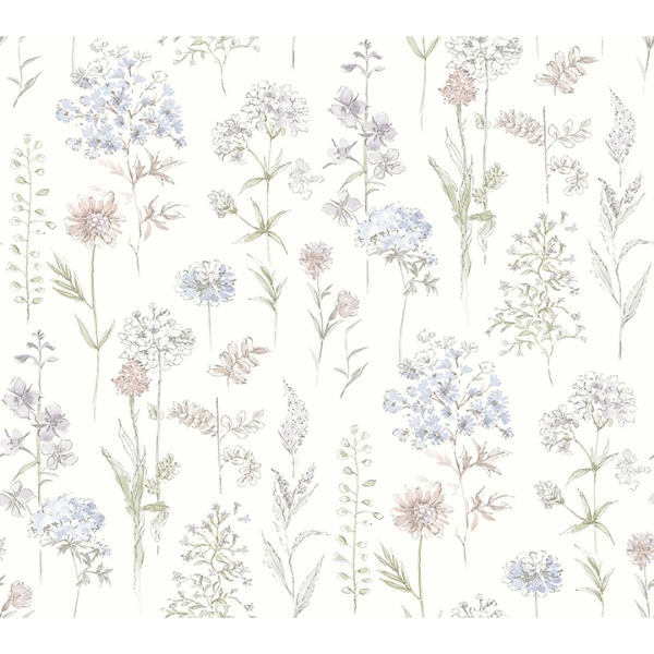 Picture of Bergamot Lavender Wildflower Wallpaper
