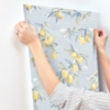 Picture of Lemonade Light Blue Citrus Wallpaper