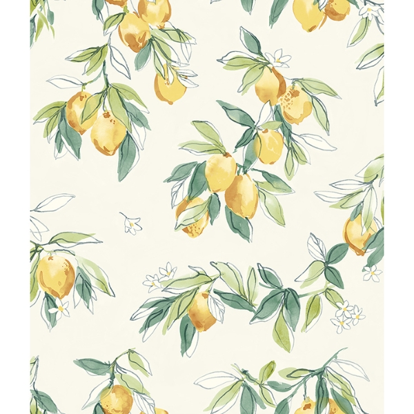 Picture of Lemonade Yellow Citrus Wallpaper