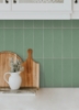 Picture of Subway Green Peel & Stick Luxury Wall Tiles