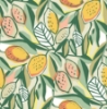 Picture of Main Squeeze Peach Peel and Stick Wallpaper